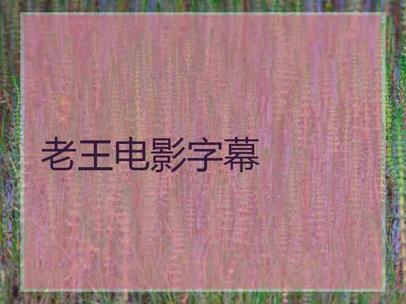 老王电影字幕