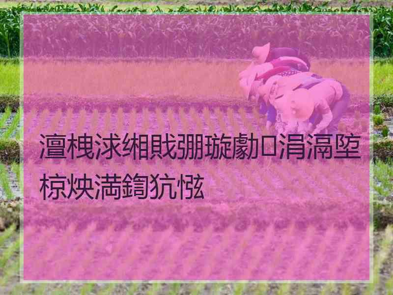澶栧浗缃戝弸璇勮涓滆埅椋炴満鍧犺惤