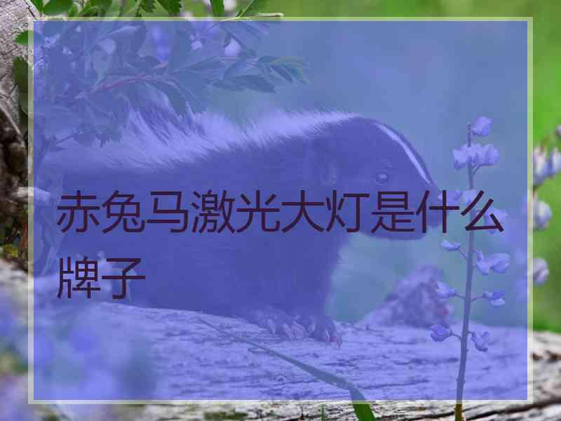 赤兔马激光大灯是什么牌子