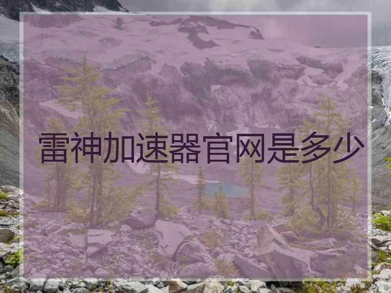 雷神加速器官网是多少