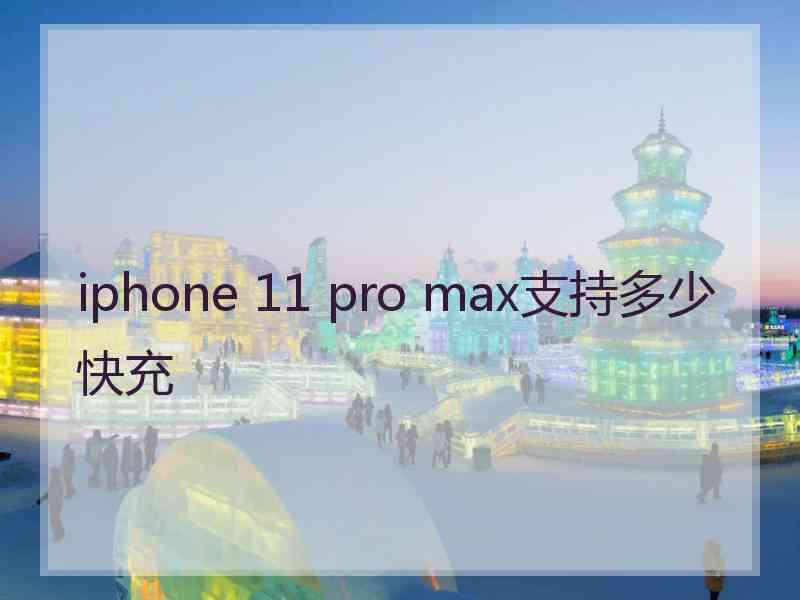 iphone 11 pro max支持多少快充