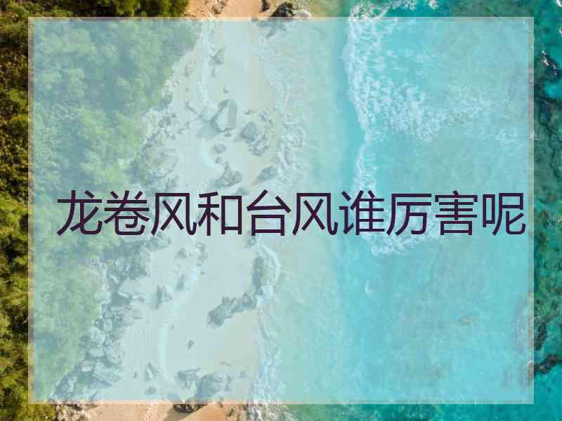 龙卷风和台风谁厉害呢