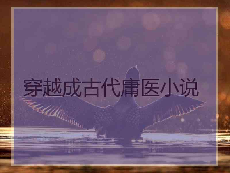 穿越成古代庸医小说