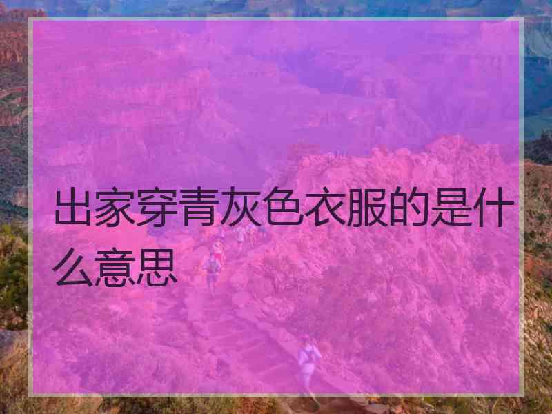 出家穿青灰色衣服的是什么意思