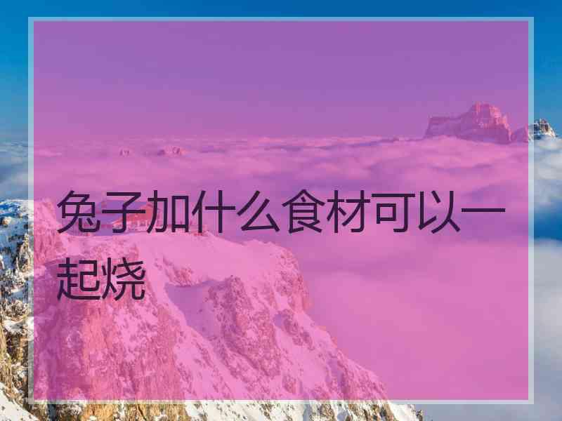 兔子加什么食材可以一起烧