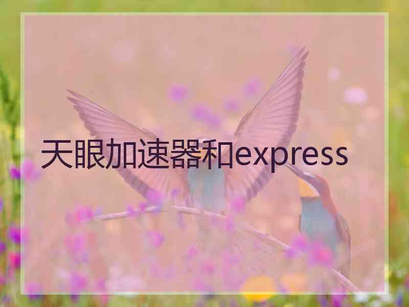 天眼加速器和express