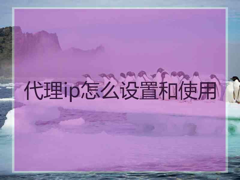 代理ip怎么设置和使用