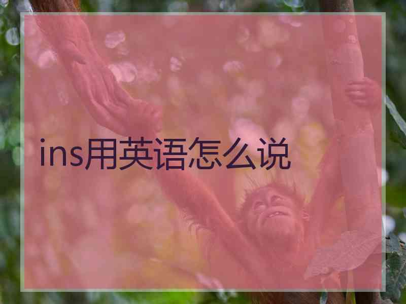 ins用英语怎么说