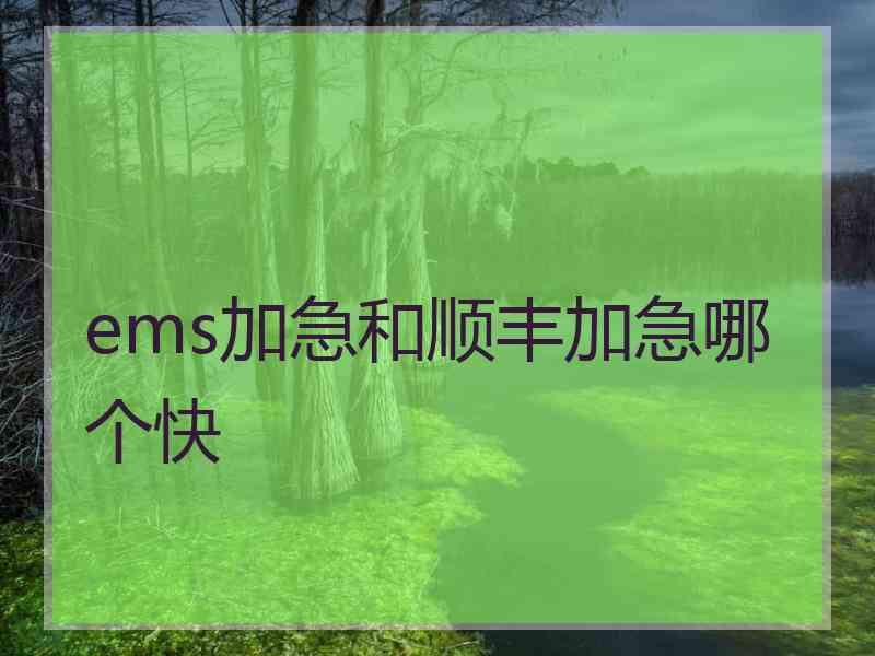 ems加急和顺丰加急哪个快