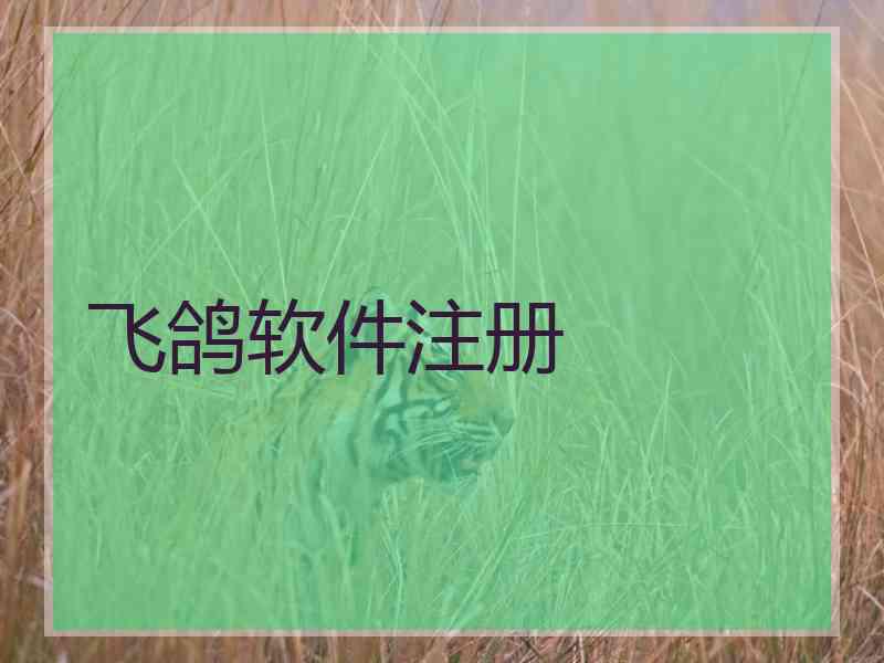飞鸽软件注册