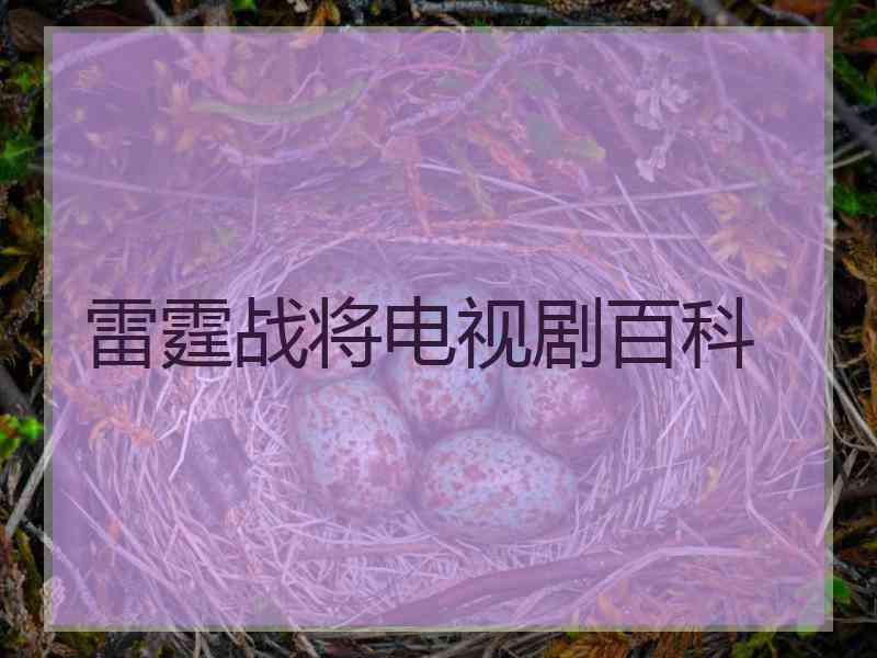 雷霆战将电视剧百科