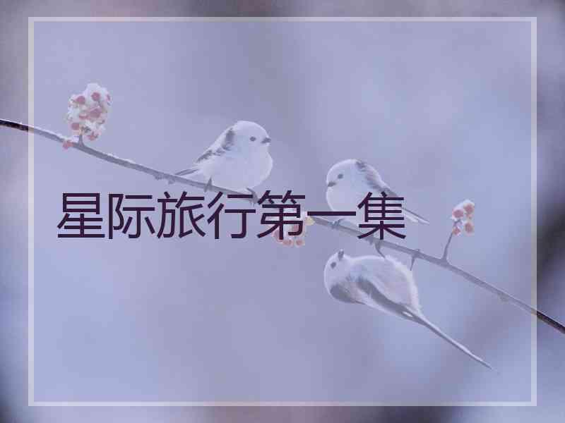 星际旅行第一集