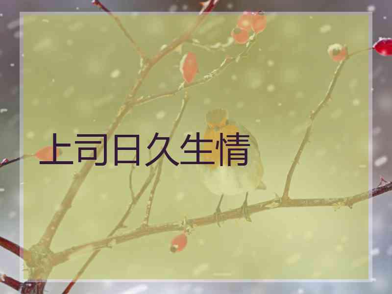 上司日久生情