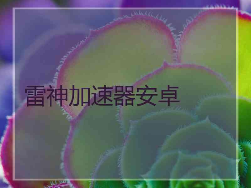 雷神加速器安卓