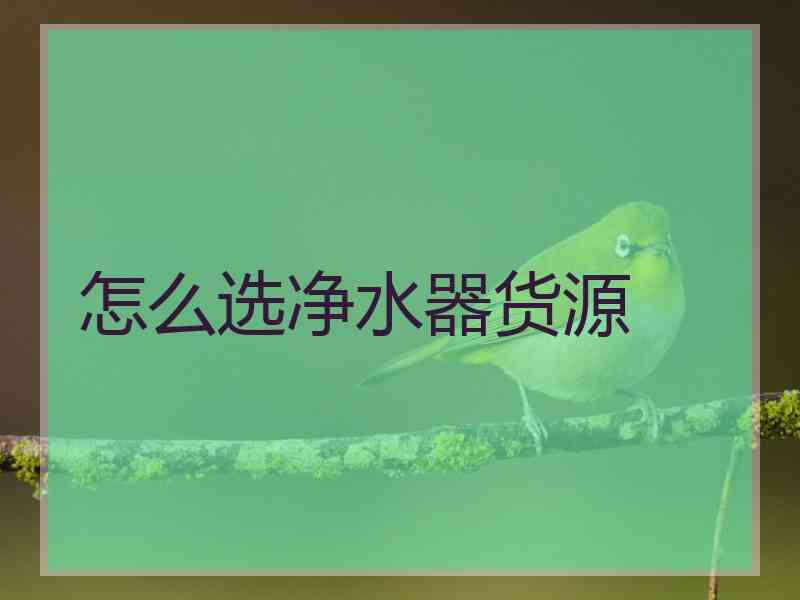 怎么选净水器货源