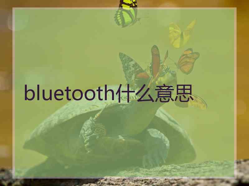 bluetooth什么意思