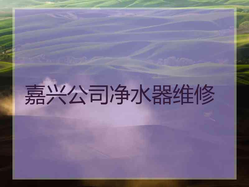 嘉兴公司净水器维修