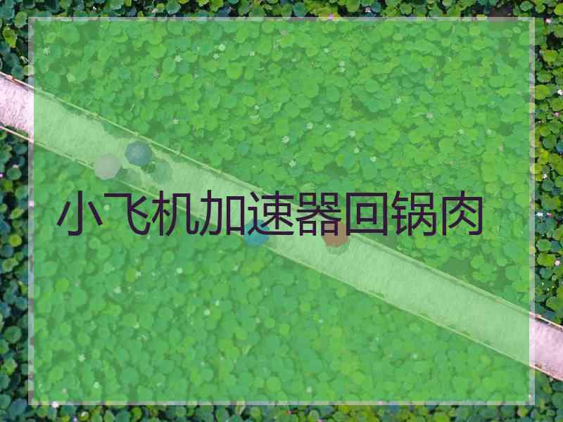 小飞机加速器回锅肉