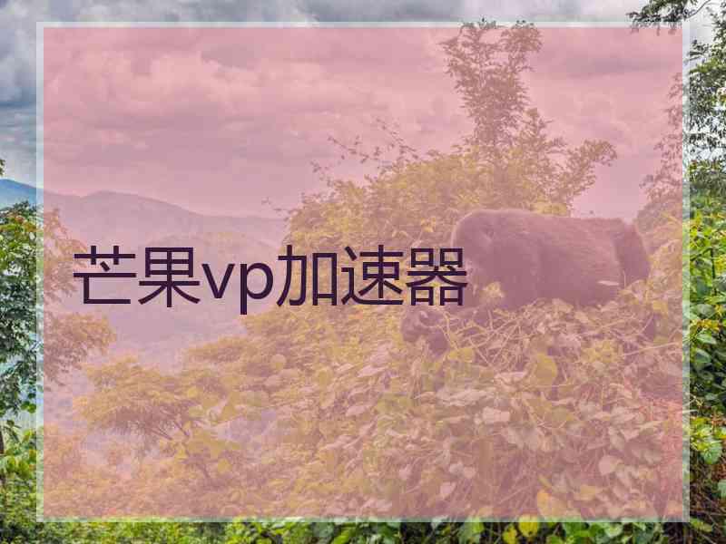 芒果vp加速器