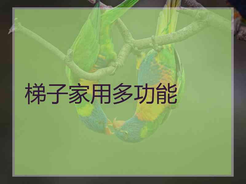 梯子家用多功能