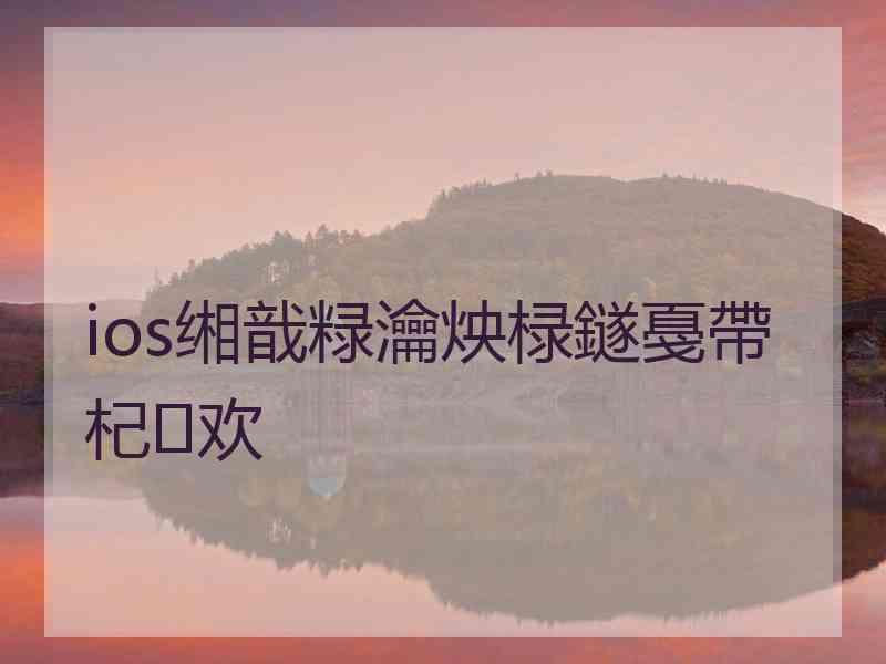 ios缃戠粶瀹炴椂鐩戞帶杞欢