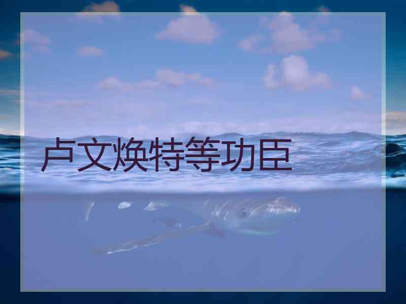 卢文焕特等功臣