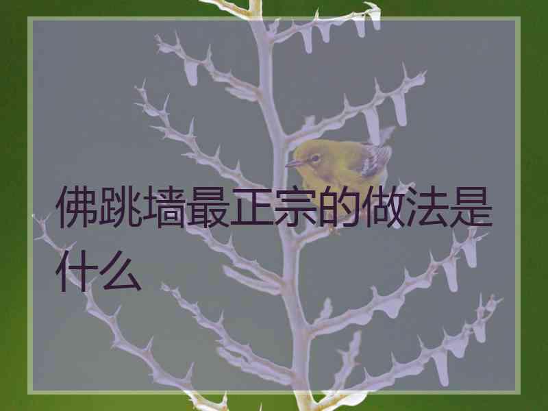 佛跳墙最正宗的做法是什么