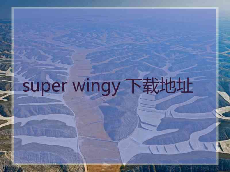 super wingy 下载地址