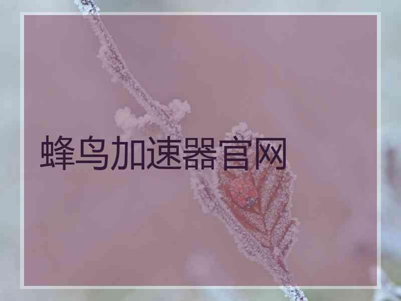 蜂鸟加速器官网