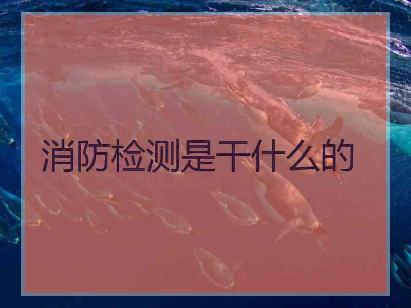 消防检测是干什么的