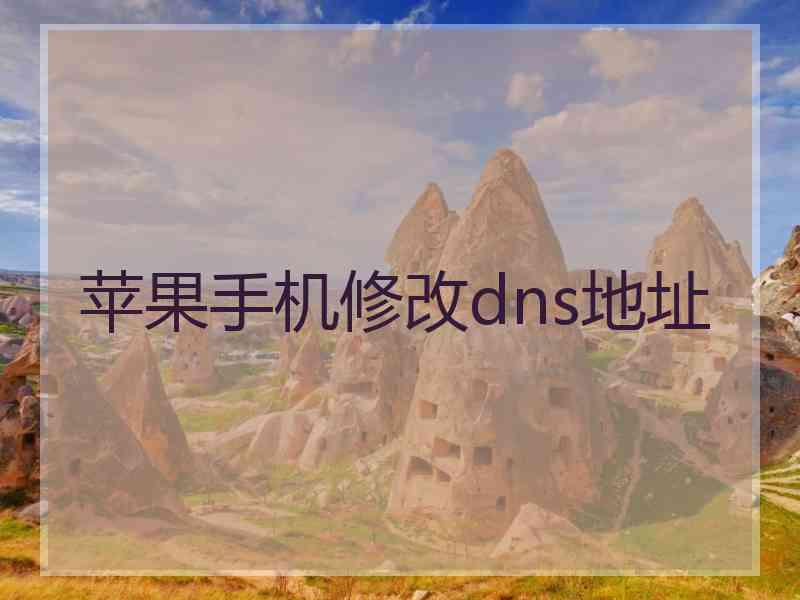 苹果手机修改dns地址