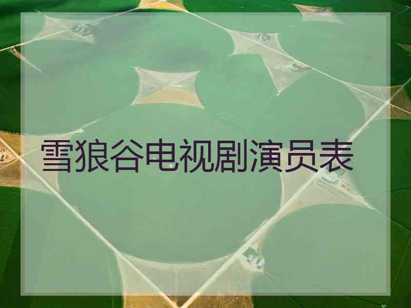 雪狼谷电视剧演员表
