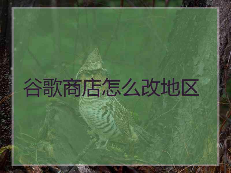 谷歌商店怎么改地区