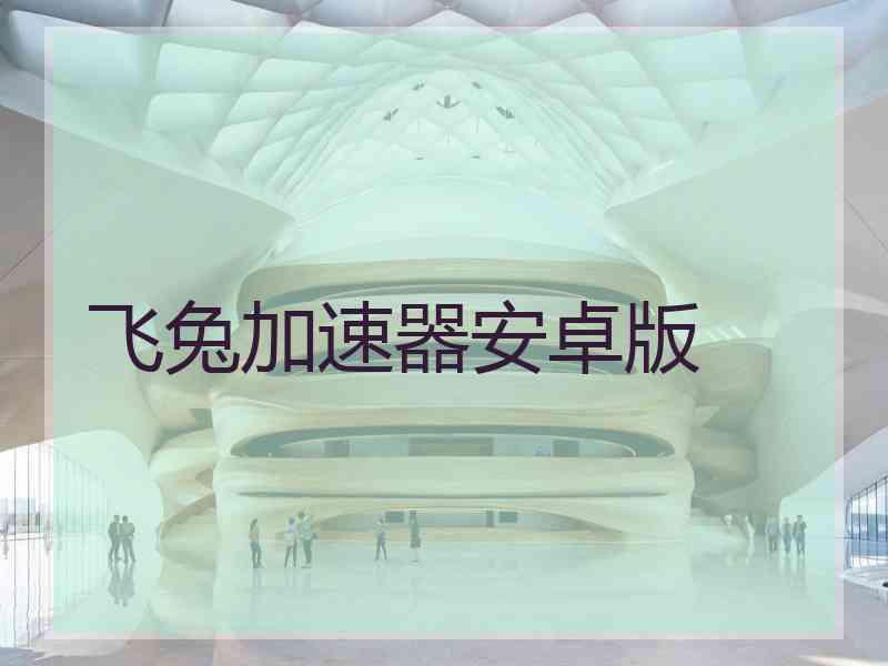 飞兔加速器安卓版
