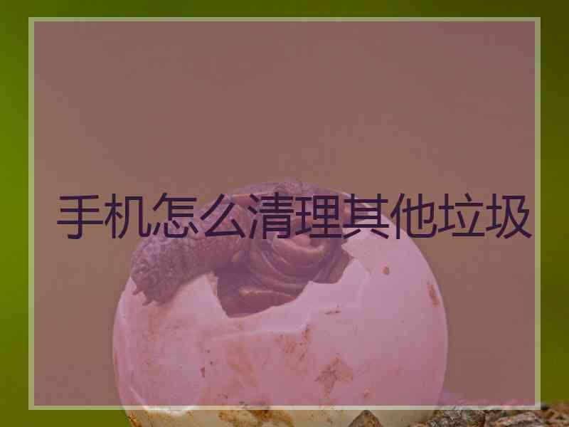 手机怎么清理其他垃圾
