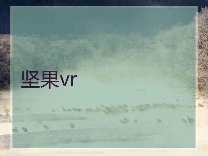 坚果vr