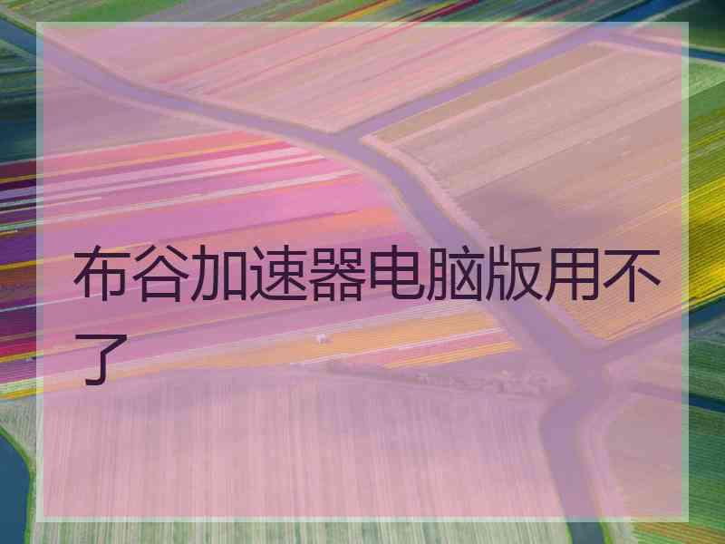 布谷加速器电脑版用不了