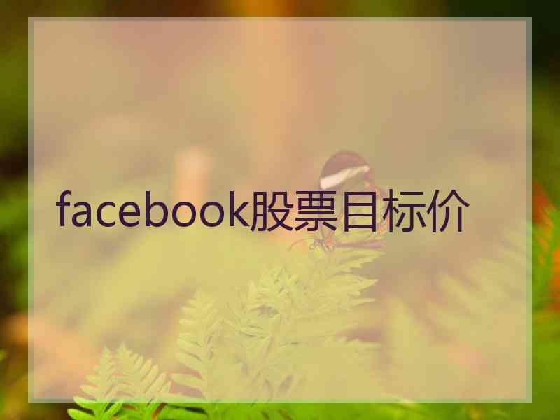 facebook股票目标价