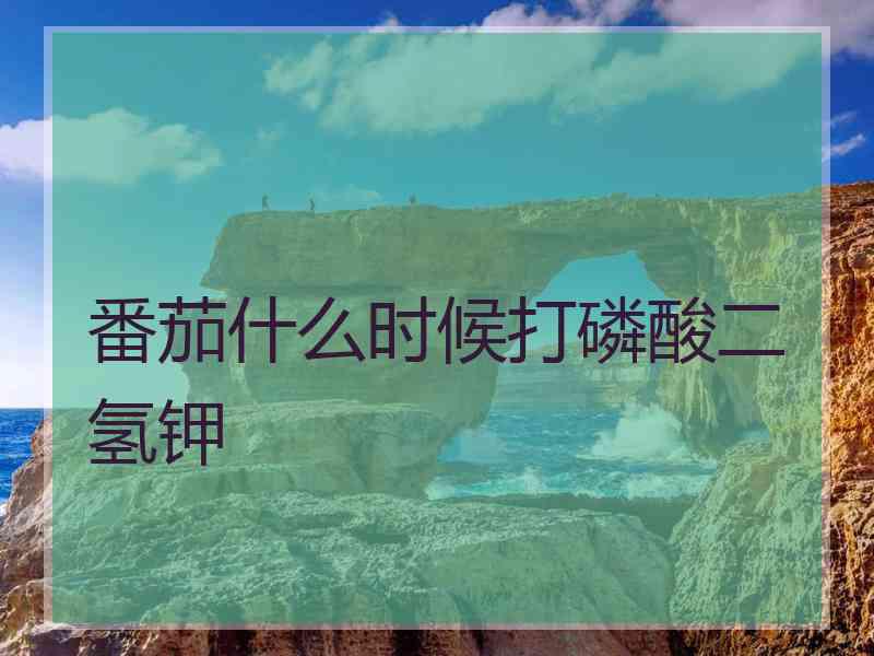 番茄什么时候打磷酸二氢钾