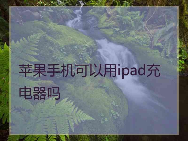 苹果手机可以用ipad充电器吗