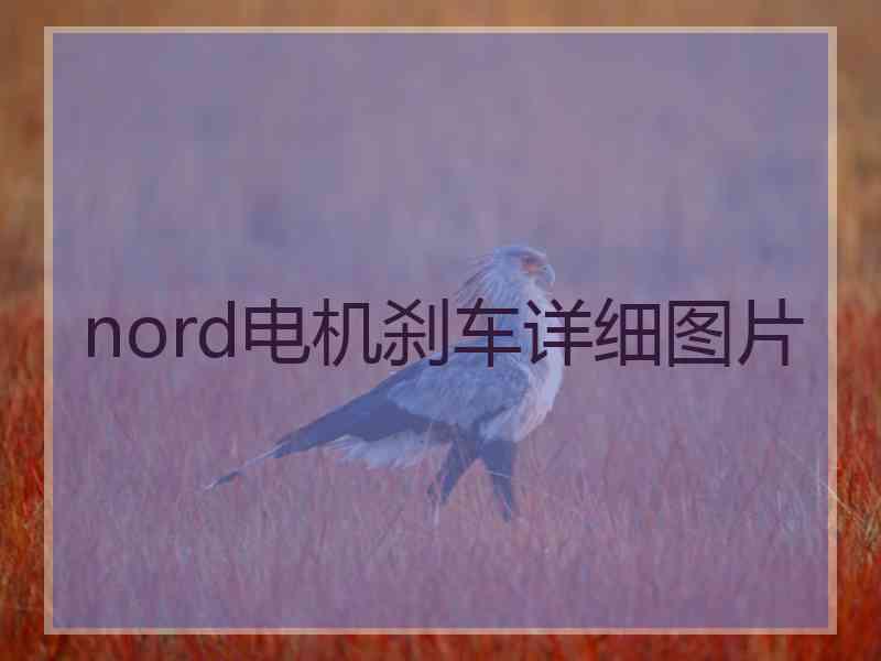 nord电机刹车详细图片