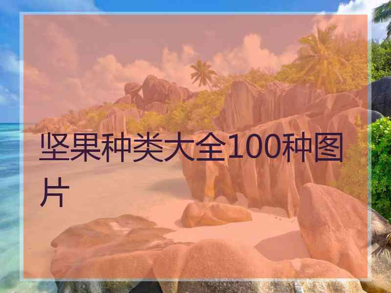 坚果种类大全100种图片