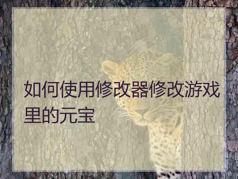 如何使用修改器修改游戏里的元宝