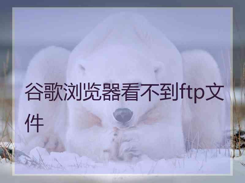 谷歌浏览器看不到ftp文件