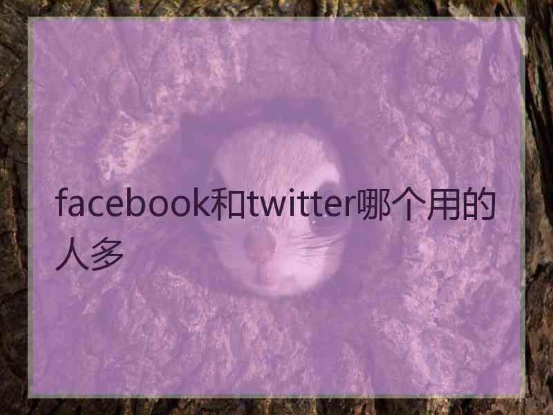 facebook和twitter哪个用的人多