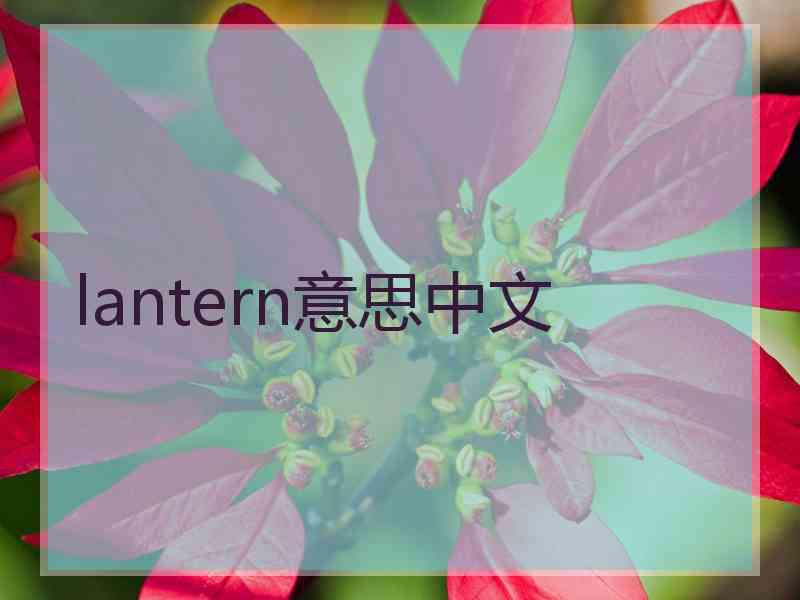 lantern意思中文
