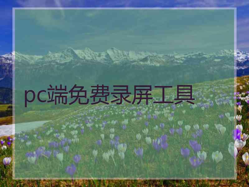 pc端免费录屏工具