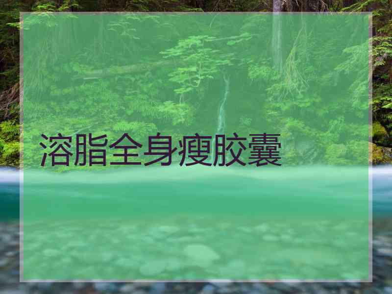溶脂全身瘦胶囊