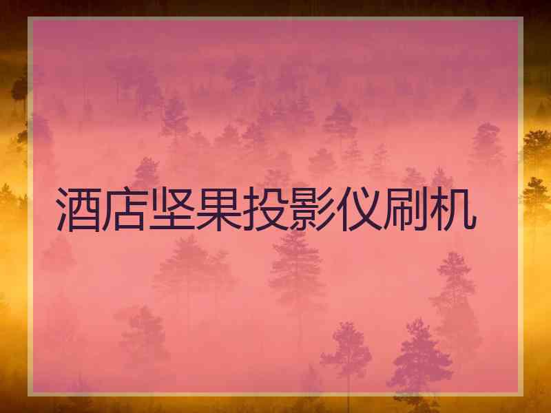 酒店坚果投影仪刷机