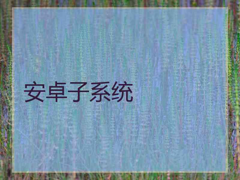 安卓子系统